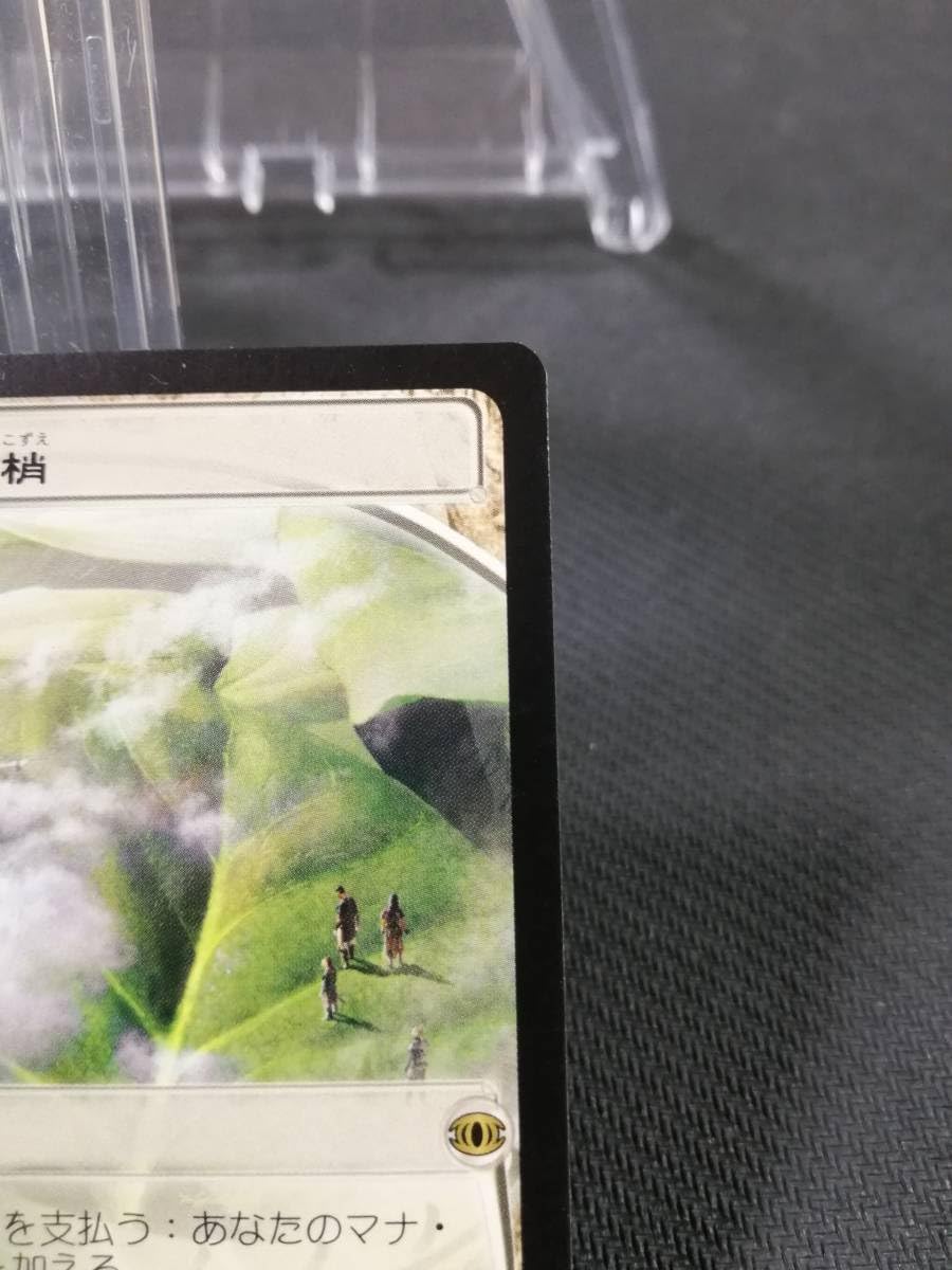 地平線の梢 FUT版 英語FOIL 地平線の梢 foil mtg 未来予知 fut 英語